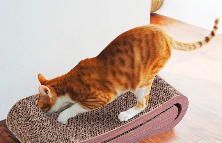 How to Stop Cat Scratching Furniture